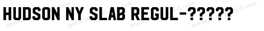 Hudson NY Slab Regul字体转换